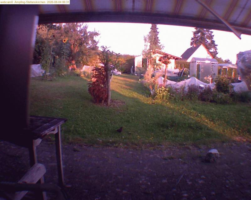 xxFoto von 2026-08-04_063119