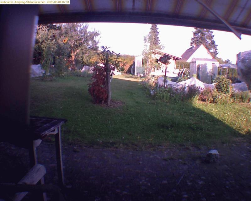 xxFoto von 2026-08-04_073123