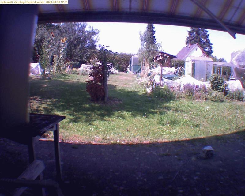 xxFoto von 2026-08-04_120128