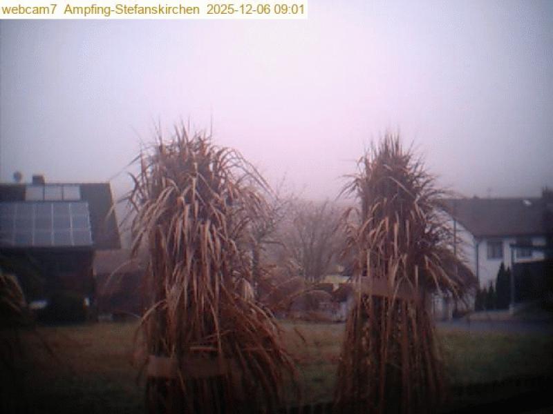 xxFoto von 2025-12-06_090104