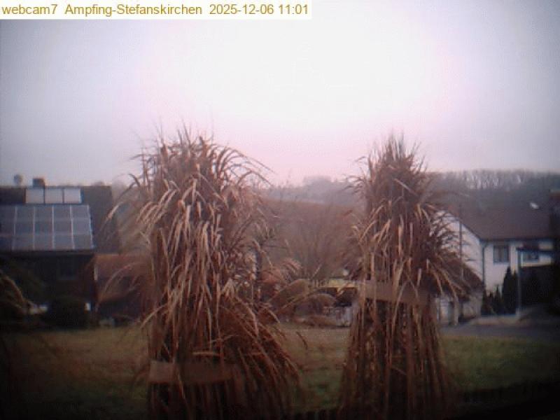 xxFoto von 2025-12-06_110104