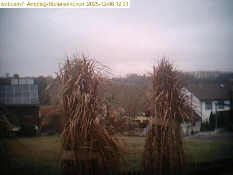 xxFoto von 2025-12-06_123105